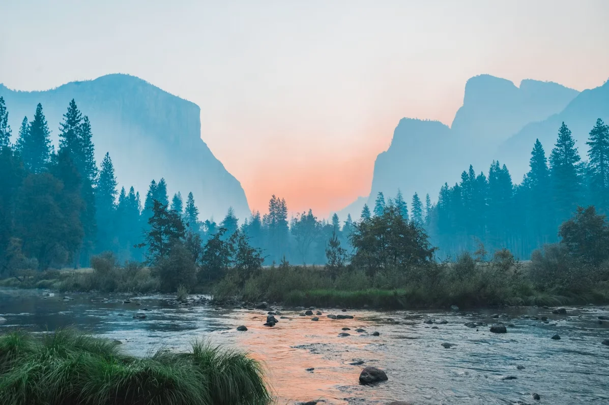 Imagen simbolizando esperanza y libertad